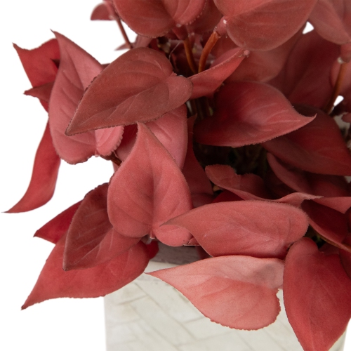 Real Touch™ Artificial Peperomia Plant in Square Lattice Designed Pot - 7" - Brick Red