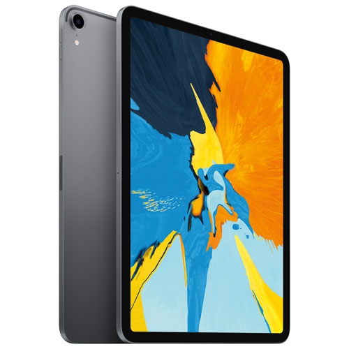 iPad本体 iPad Pro11 1st cellular 256GB 2022 Apple iPad Pro (11-inch, Wi-Fi, 256GB) - Space Gray