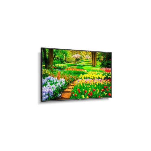 SHARP  " 49"" 4K Uhd Professional Commercial Display (M491) - Black"