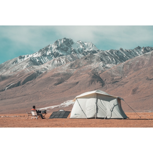 Panneau solaire portatif bifacial 220&nbsp;W d'EcoFlow