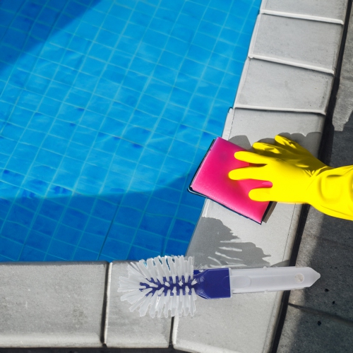 11" Swimming Pool Scrub Brush Head