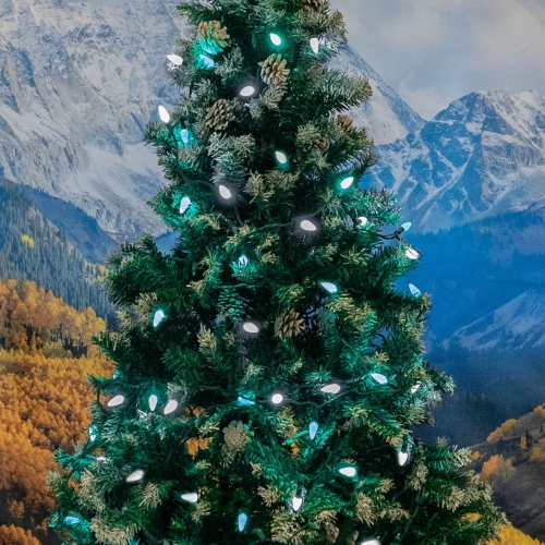 Lumières de fantaisie jeu de 70 lumières de Noël C6 DEL miniatures, jeu de lumières extérieures de qualité commerciale, fil vert, 24 pi