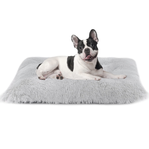 Best buy dog beds hotsell