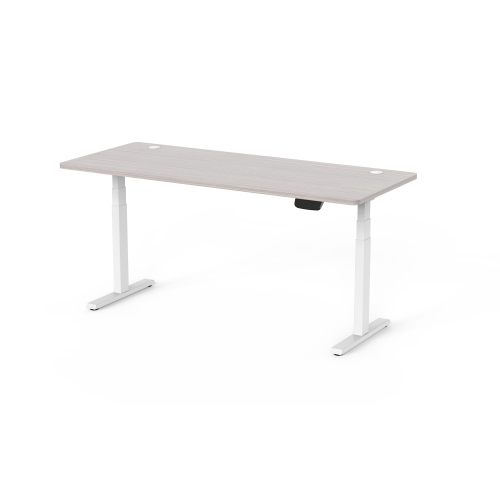 Ergoloop Oak - White Dual motor electric Sit - Stand desk 71" x 29.5" top with memory adjustments, timer and anti-collision system built on top notch