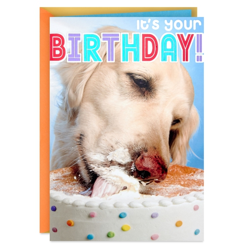 HALLMARK  Birthday Card (Dog Eating Birthday Cake)