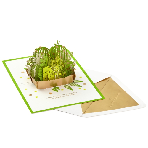 Signature Paper Wonder Pop Up – Carte de remerciement, plantes succulentes