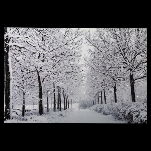 Fiber Optic Lighted Winter Lane Christmas Canvas Wall Art - 23.5" x 15.75"