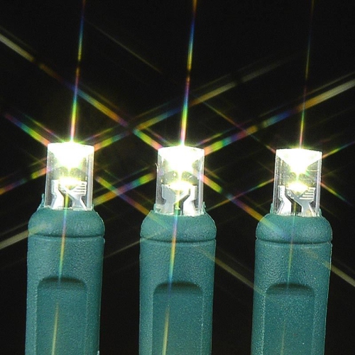 Novelty Lights 20 Light Battery Operated LED Christmas Mini Light Set, Green Wire, 8' Long