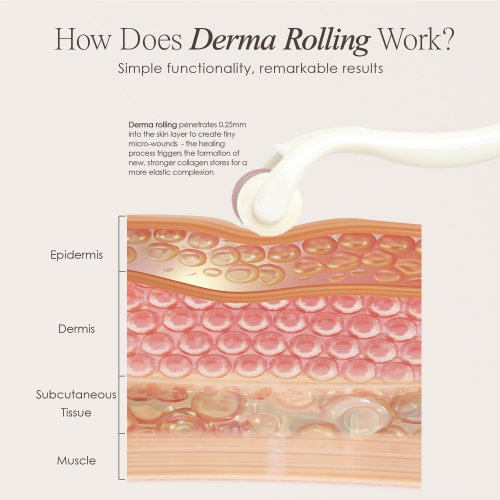 Project E Beauty The Derma Roller | 540 Titanium Microneedle Facial Tool | Collagen Boost | Reduce Scars & Wrinkles
