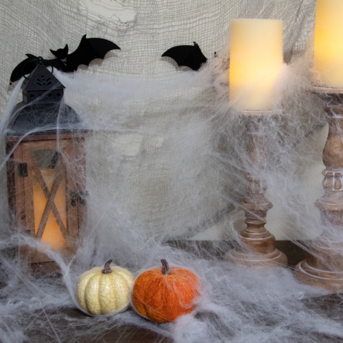 10" Stretchable White Spider Web Halloween Decoration