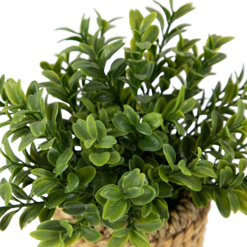 Milan Leaf Artificial Mini Bush In Rattan Basket - 7"