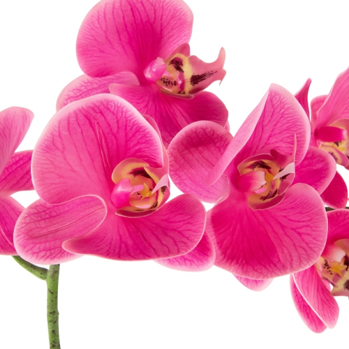 Real Touch™ Artificial Spring Orchids in a Striped Ceramic Pot - 2' - Pink