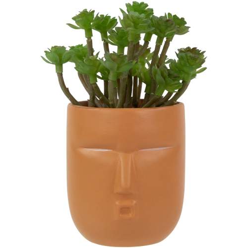 Mini Artificial Succulent in Face Planter Pot - 5.5"