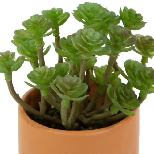 Mini Artificial Succulent in Face Planter Pot - 5.5"