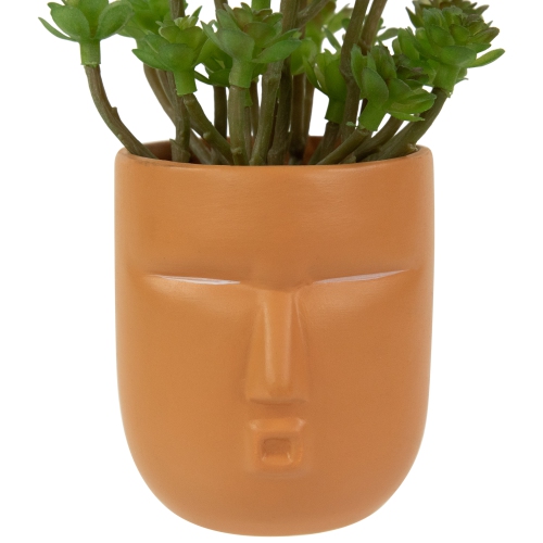 Mini Artificial Succulent in Face Planter Pot - 5.5"