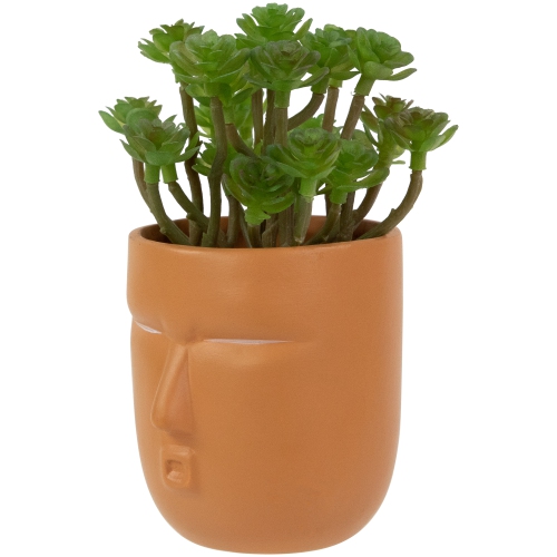 Mini Artificial Succulent in Face Planter Pot - 5.5"