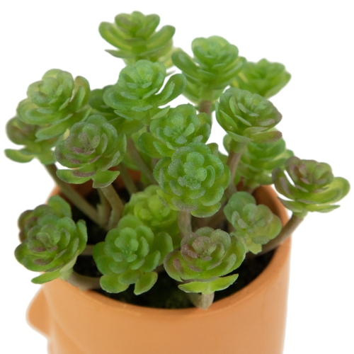 Mini Artificial Succulent in Face Planter Pot - 5.5"