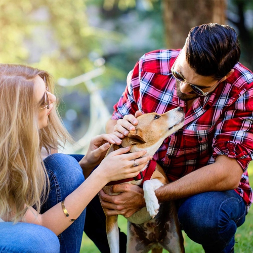 Pet Stroller 4 Wheels Posh Folding Waterproof Portable Travel Cat Dog Stroller with Cup Holder
