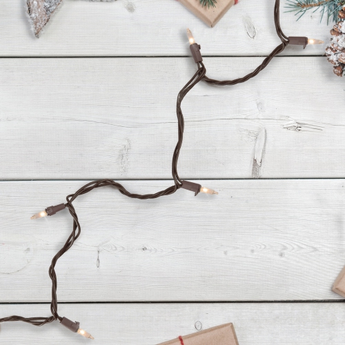 10 Count Clear Mini Christmas Light Set, 5.5 ft Brown Wire