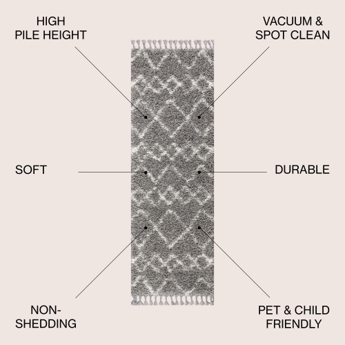 Mercer Shag Plush Tassel Moroccan Tribal Geometric Trellis Area Rug