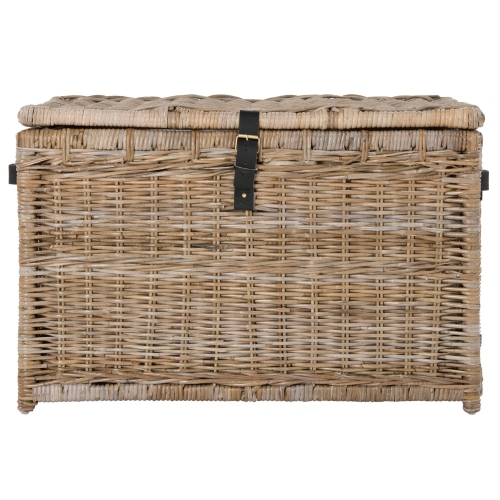 Michael Wicker Storage Trunk