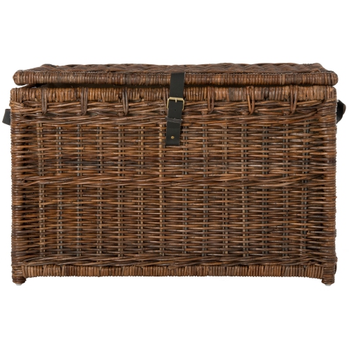 Michael Wicker Storage Trunk