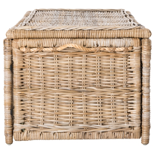 Caden Wicker Storage Trunk