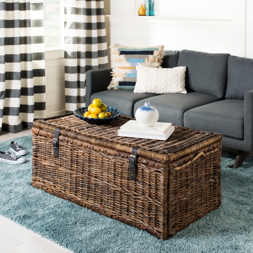 Caden Wicker Storage Trunk