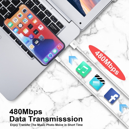 2Pack iPhone/iPad Charging/Charger Cord Lightning to USB Cable[ MFi Certified] Compatible iPhone 11/