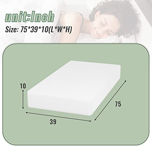 10 Inch Memory Foam Mattress Twin Mattress Wave Comfort Foam Mattress CertiPUR-US Certified,Removable Soft Cover,mattresses for Bed Frame,Bunk