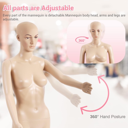 Female Mannequin Torso Dress Form Mannequin Body 69Inches Adjustable Mannequin Model Full Body Plastic Detachable Mannequin Stand Realistic Display