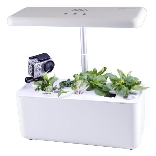 TTS Hydroponic Garden System w/ 7 Compartments, Educational Compact Smart Garden for Educators and Boys Girls Learners, Perfect for Teaching and