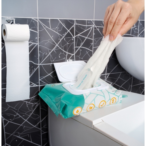 VIETDAI Flushable Wipes Adult Wipes 168 count