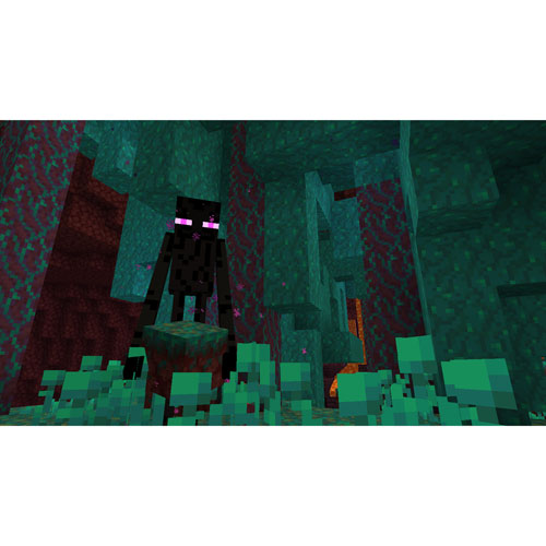 Minecraft: Édition Bedrock + 3500 pièces Minecoins