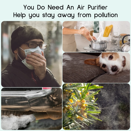 Afloia Air Purifier Replacement Filter for Kilo/Kilo Pro/Kilo Plus/Miro/Miro Pro