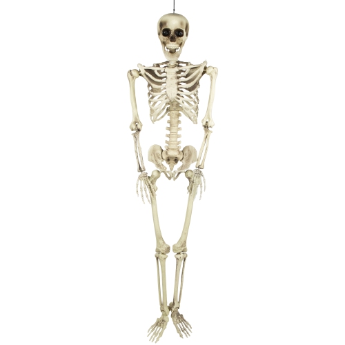 Life Size Skeleton Halloween Hanging Decoration - 5'