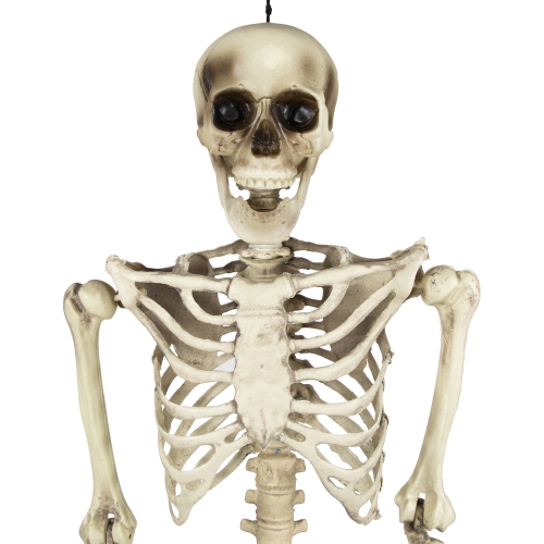 Life Size Skeleton Halloween Hanging Decoration - 5'