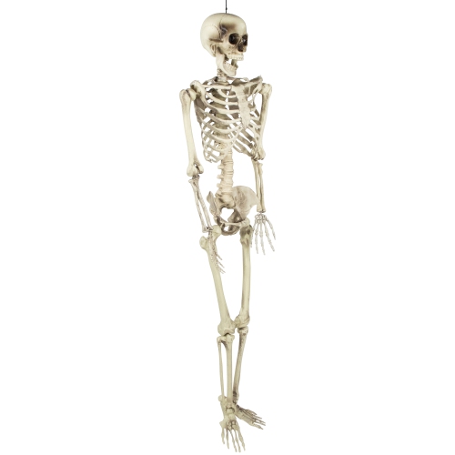 Life Size Skeleton Halloween Hanging Decoration - 5'