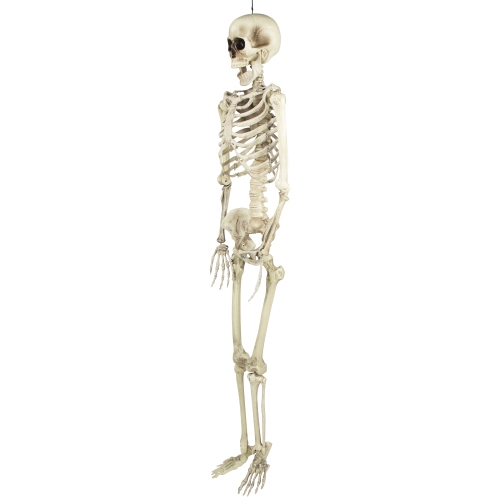 Life Size Skeleton Halloween Hanging Decoration - 5'