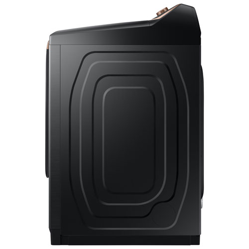 Sécheuse électrique à vapeur de 7,4 pi³ de Samsung - Noir