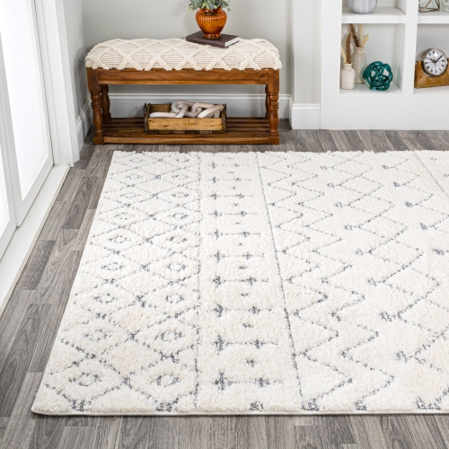 Pia Moroccan Trellis Plush Carved Area Rug