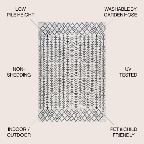 Tokay Bohemian Geometric Indoor/Outdoor Area Rug