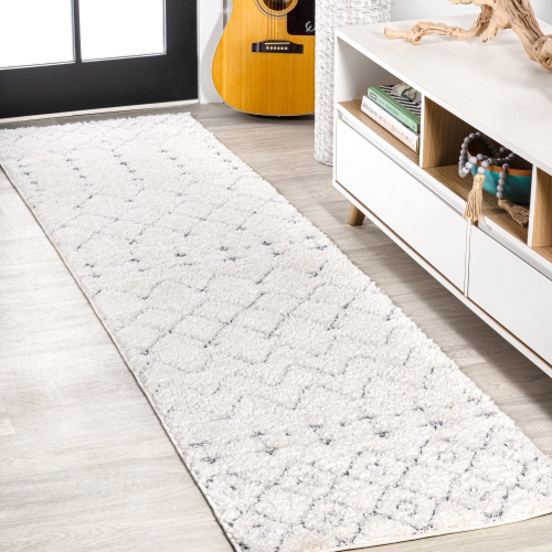 Pia Moroccan Trellis Plush Carved Area Rug