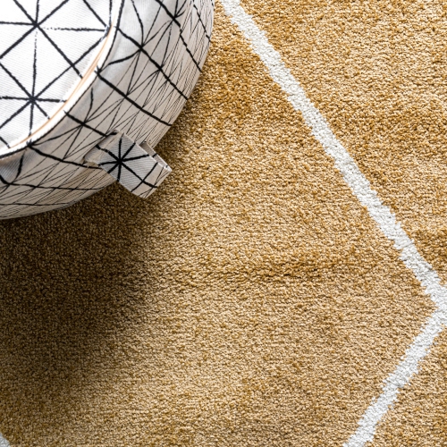 Cole Minimalist Diamond Trellis Area Rug