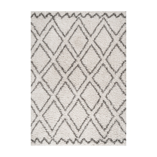 Soller Diamond Trellis Shag Area Rug