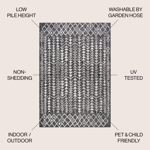 Tokay Bohemian Geometric Indoor/Outdoor Area Rug