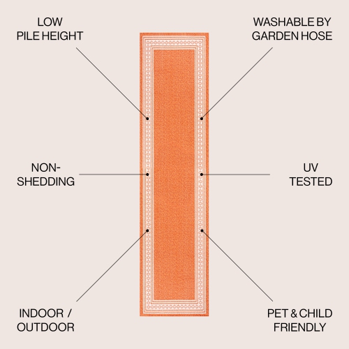 Lucia Classic Diamond Border Indoor/Outdoor Area Rug