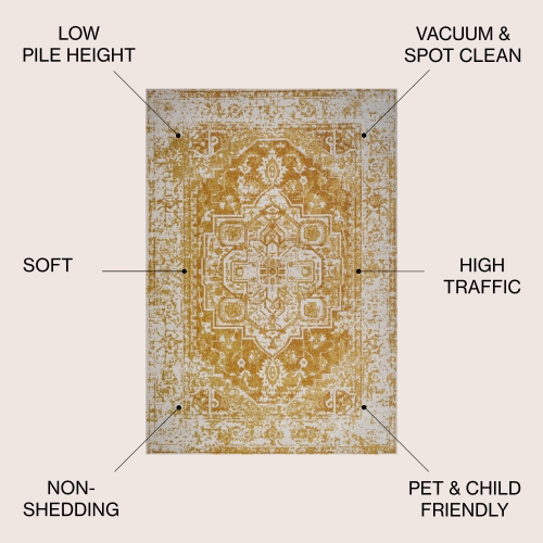 Audrey Bohemian Ornate Medallion Area Rug