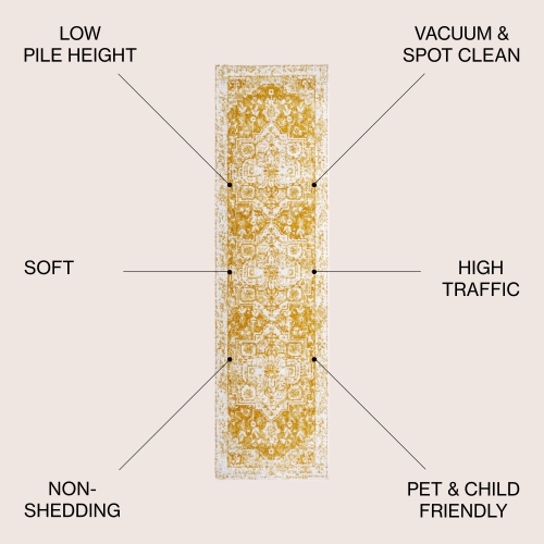 Audrey Bohemian Ornate Medallion Area Rug