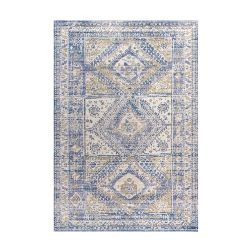 Darija Ornate Geometric Medallion Area Rug